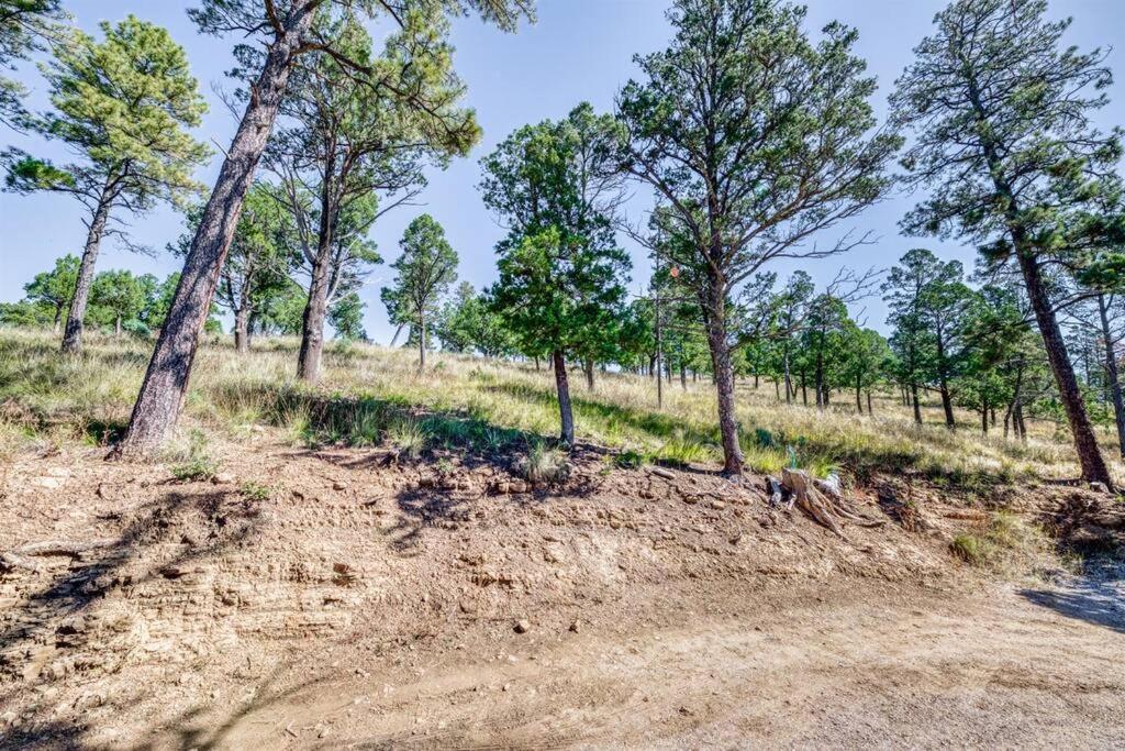 Perk Canyon Hidden Acres-Hot Tub-Gas Fireplace Ruidoso Eksteriør billede